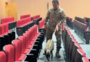 JUSTIÇA FEDERAL NO PIAUÍ REALIZA VARREDURA DE SEGURANÇA COM CÃO FAREJADOR ANTES DE EVENTO COM AUTORIDADES NACIONAIS