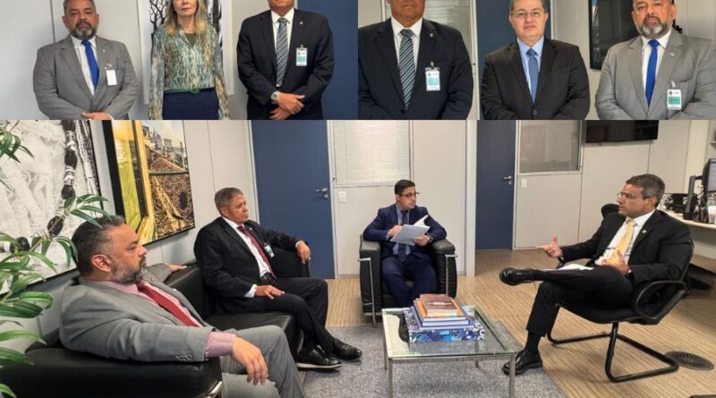 AGEPOLJUS REFORÇA ATUAÇÃO INSTITUCIONAL JUNTO AO CNJ EM DEFESA DA POLÍTICA DE SEGURANÇA E DA POLÍCIA JUDICIAL